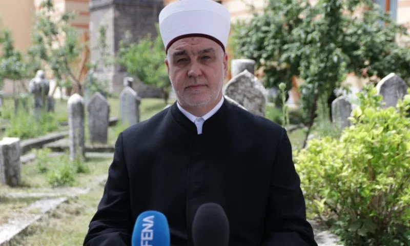 Reis kavazovic d