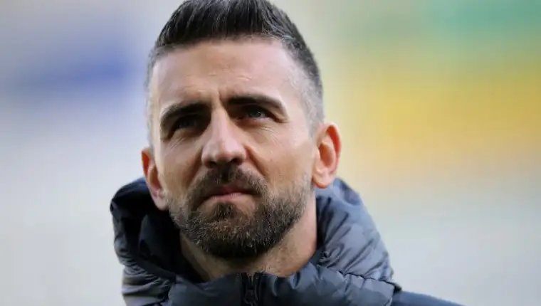ibisevic