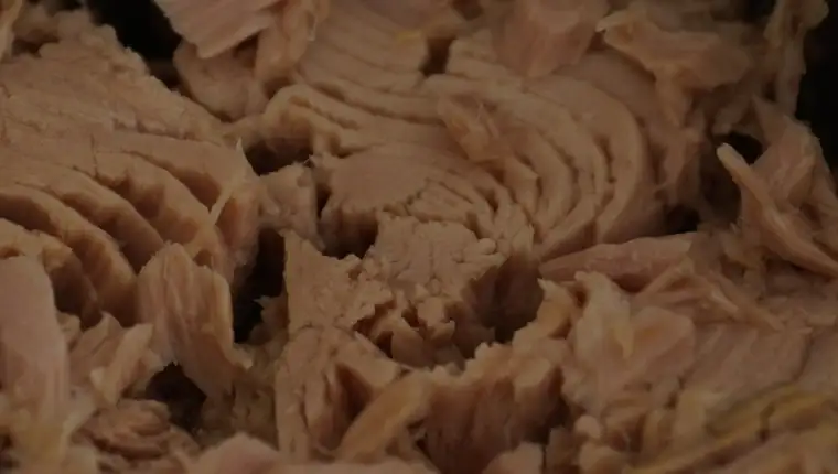 Tuna