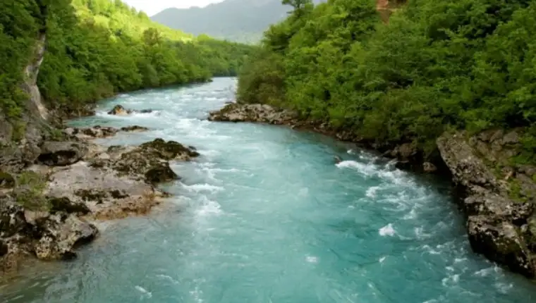 neretva_210314_tw630