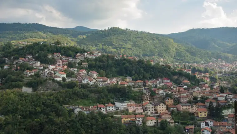 alifakovac