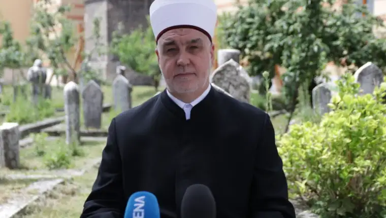 Reis kavazovic d