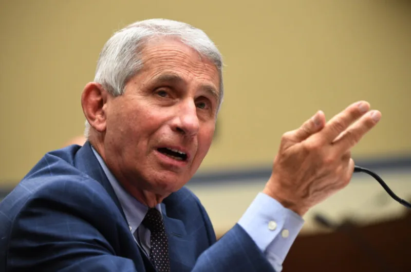 Dr Anthony Fauci among top US health officials testifies  in House on need for COVID national plan
