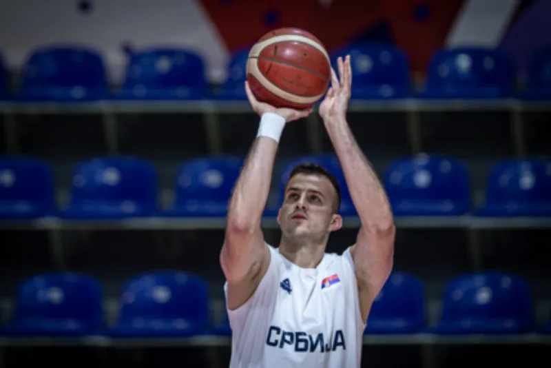Bjelica-427x285 (1)