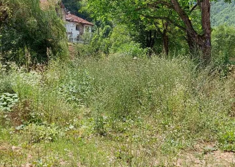 Grobica srebrenica 1