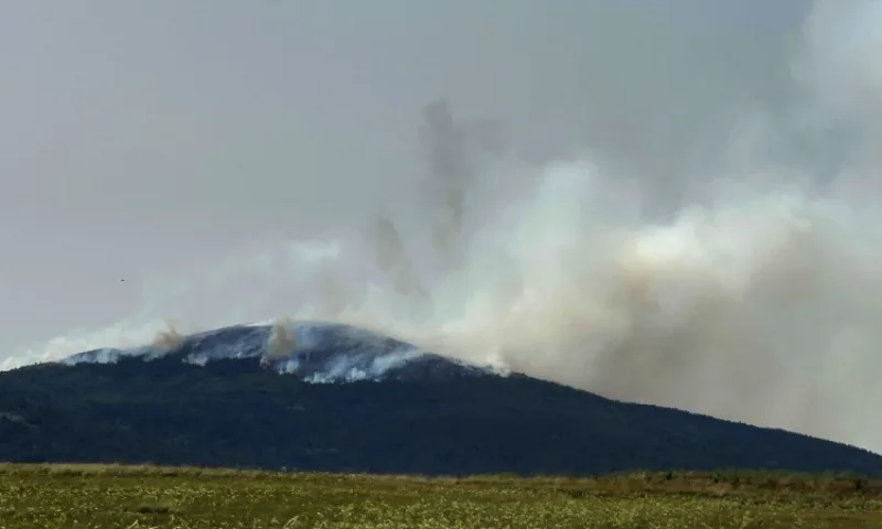 FNA_143953