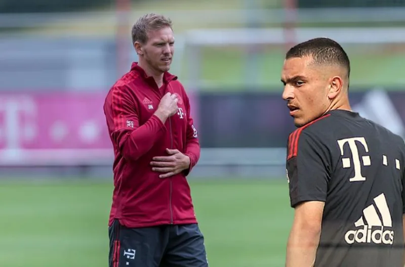 nagelsmann ibrahimovic