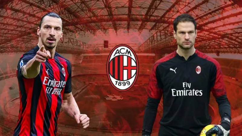 begovic ibrahimovic