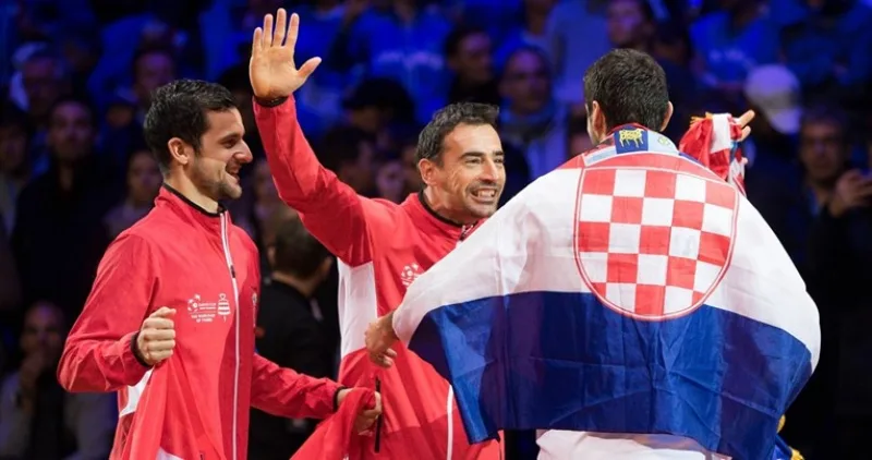 dodig