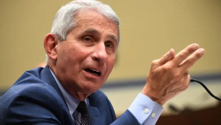 Dr Anthony Fauci among top US health officials testifies  in House on need for COVID national plan