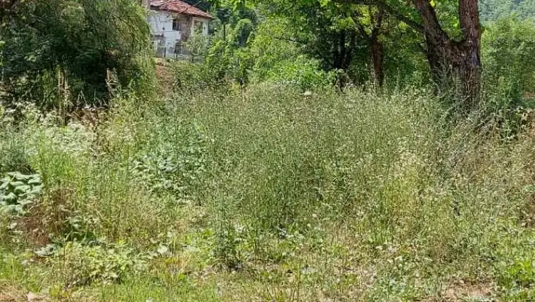 Grobica srebrenica 1