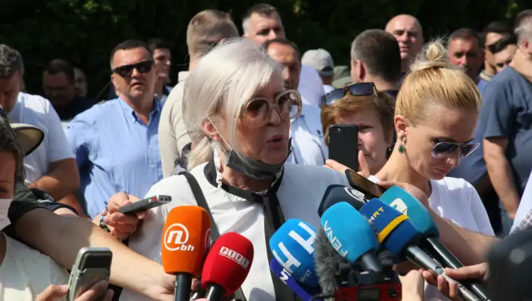 Vasvija vidovic