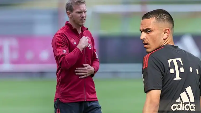 nagelsmann ibrahimovic