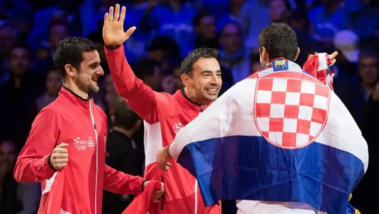 dodig