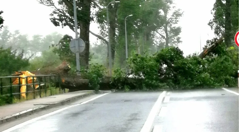 Nevrijeme bihac dd