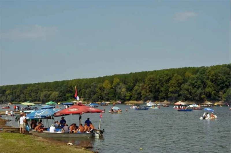 savska-regata1-872x577