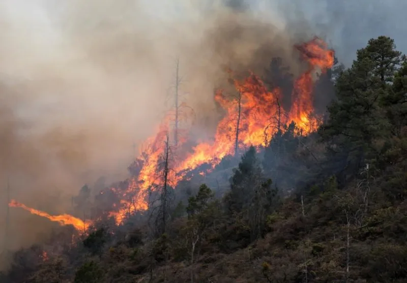 Forest fire in northeastern Mexico accumulates 12,000 hectares affected
