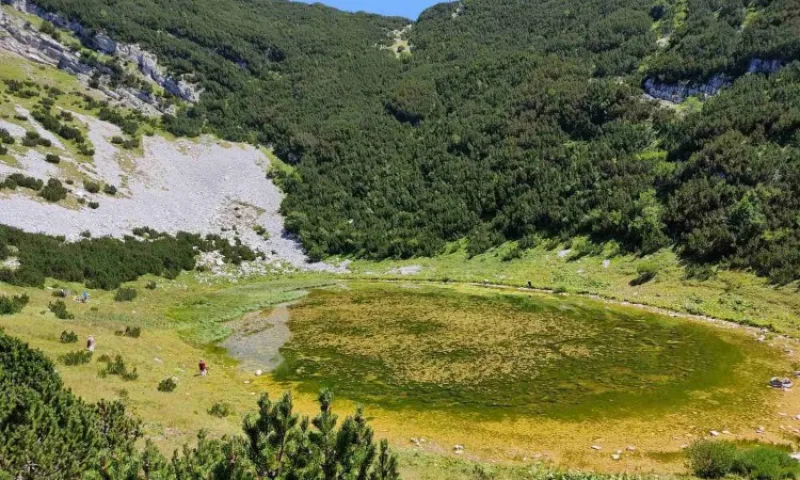 lokvanjsko jezero
