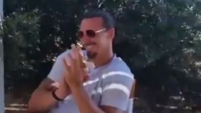 zlatan