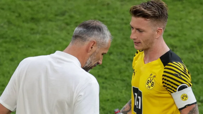 BVB-Reus-Rose-Frankfurt