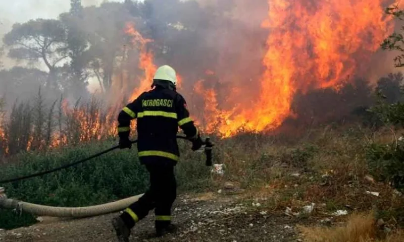 Općina Grude - Vatrogasci