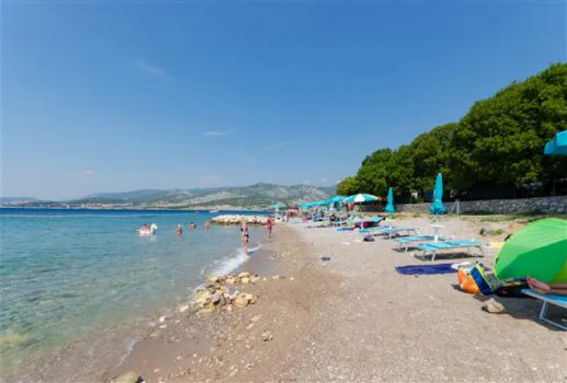 klenovica