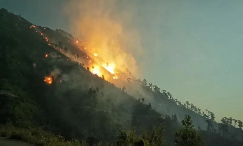 konjic_pozar_zvekusa