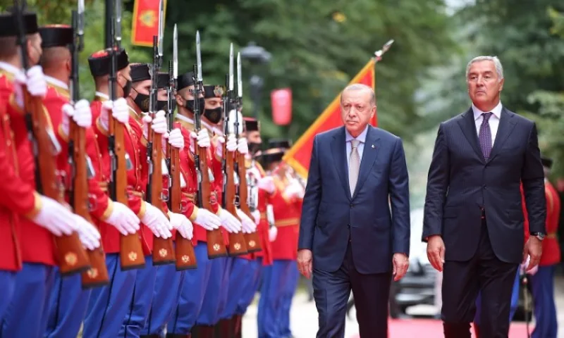 erdogan djukanovic