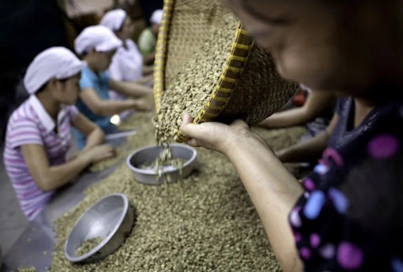 Kafa vijetnam