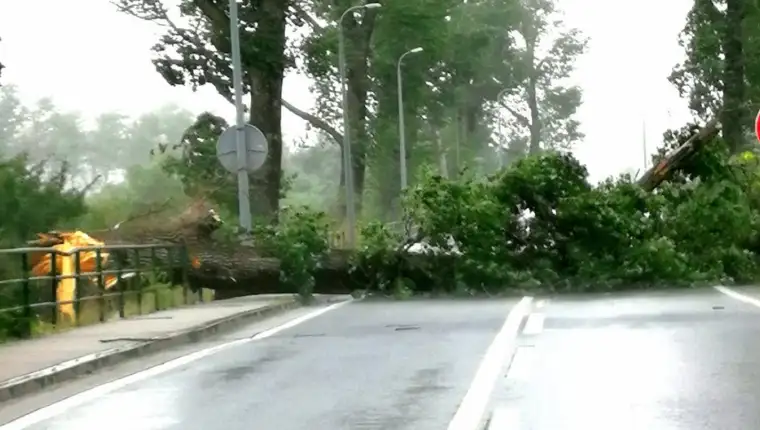 Nevrijeme bihac dd