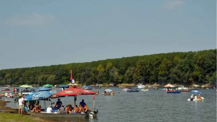 savska-regata1-872x577