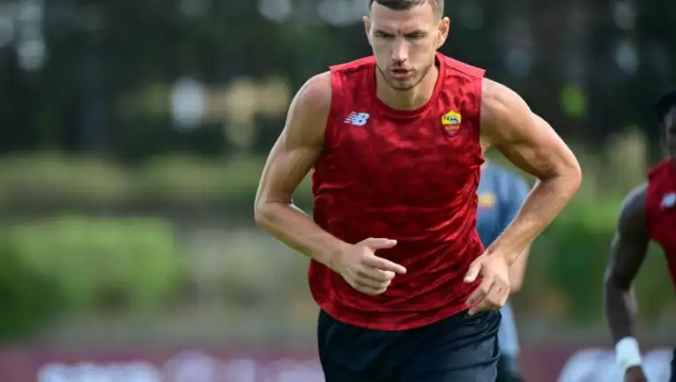 dzeko