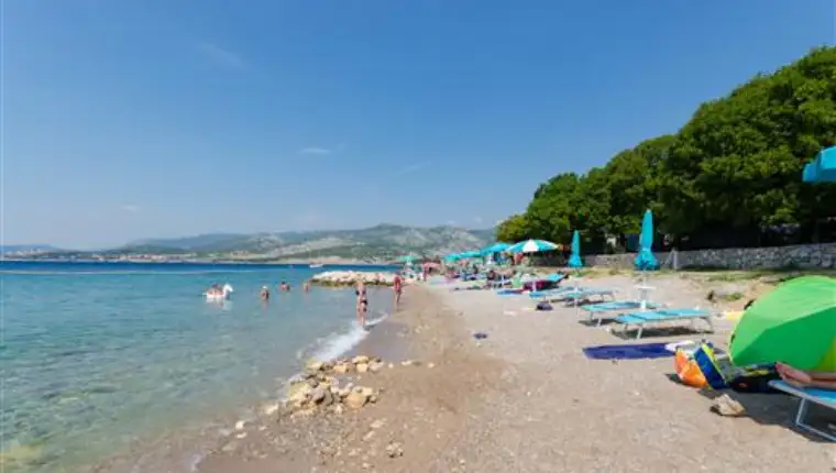 klenovica