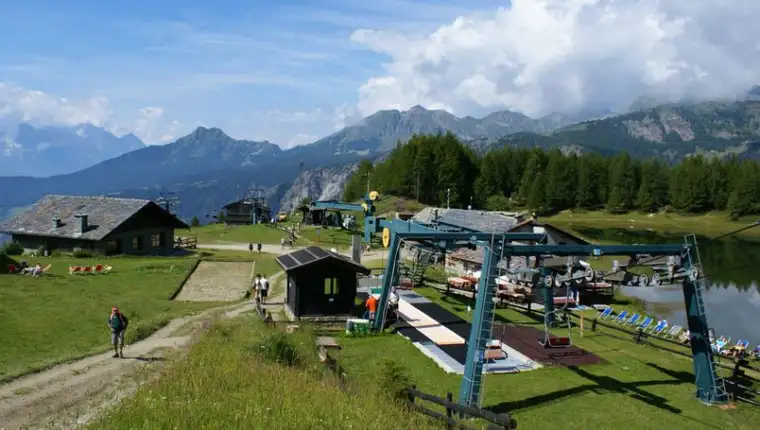 Chamois