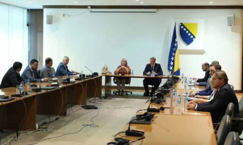 Zvizdic sastanak