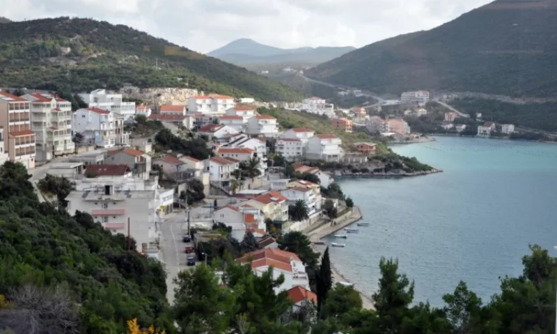 neum (1)