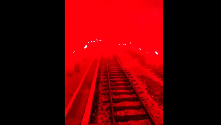 zeljo bakljada