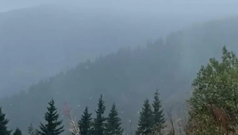 2725693_prvi-sneg_ls