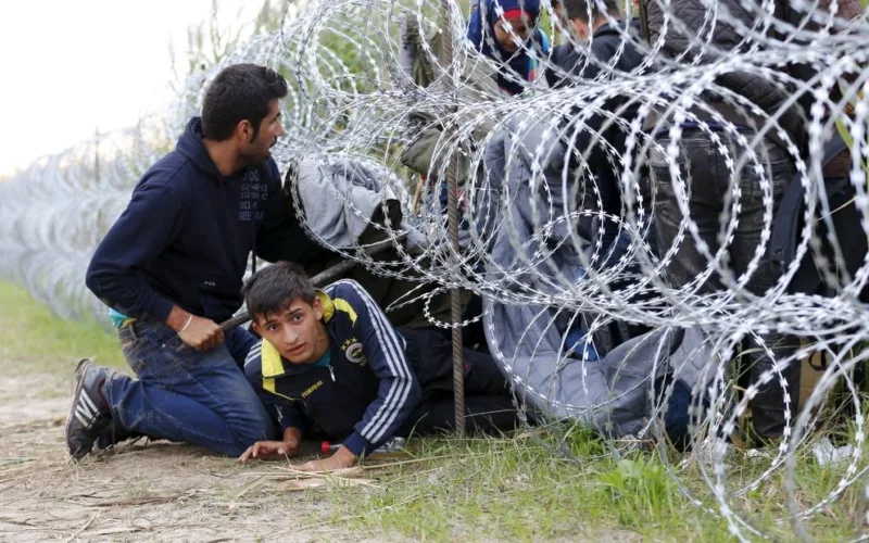 Zica migranti