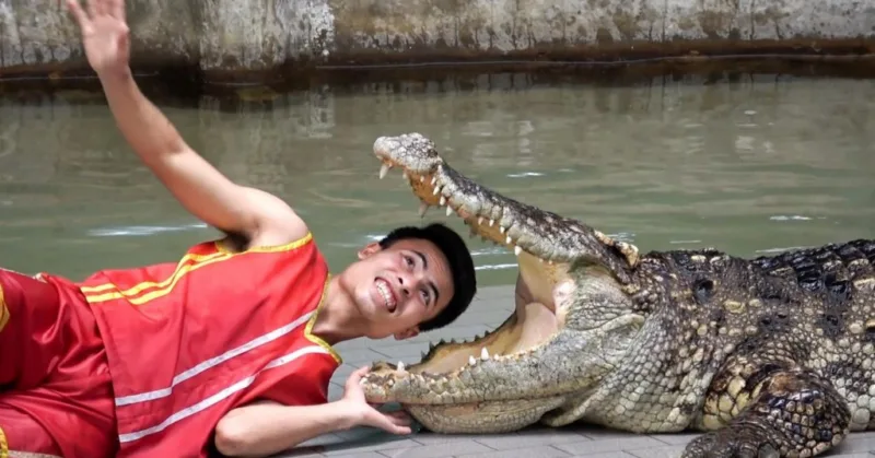 krokodil