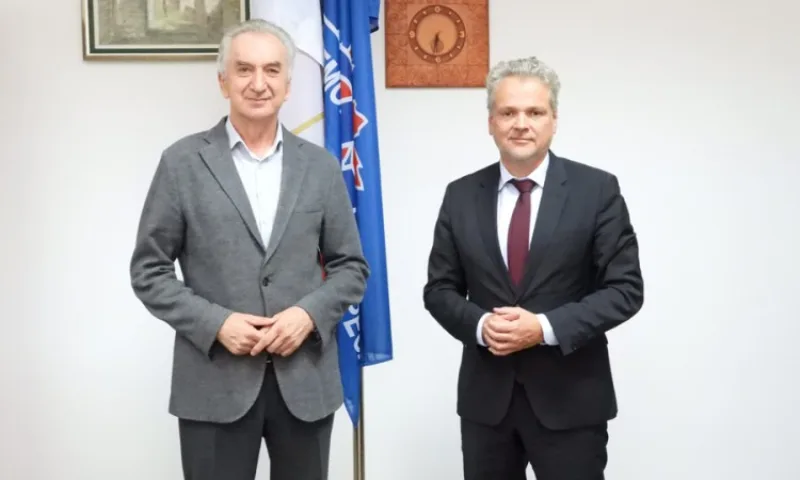 sarovic satler