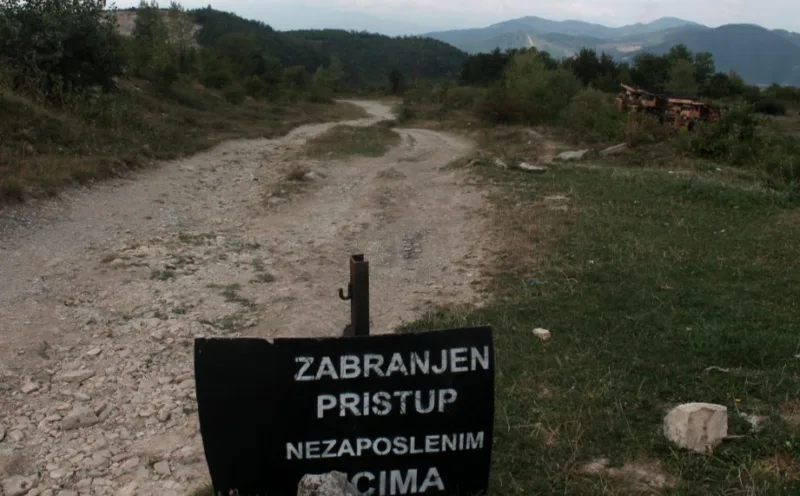 moscanica