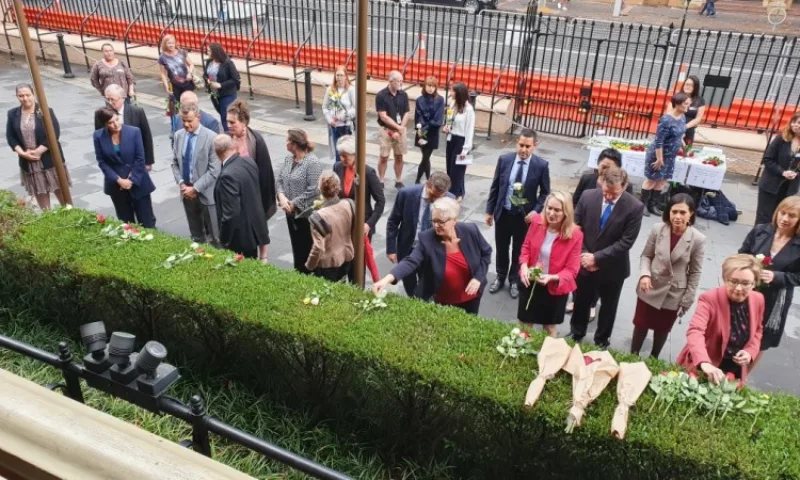 australija_nasilje u porodici