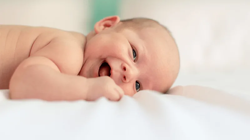 Bebe