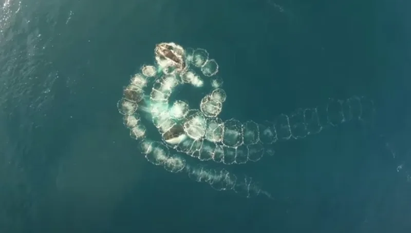 Screenshot_35
