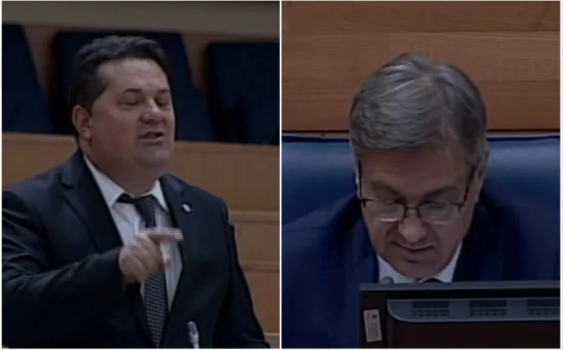 stevandic zvizdic