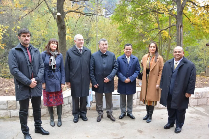 aleja ambasadora