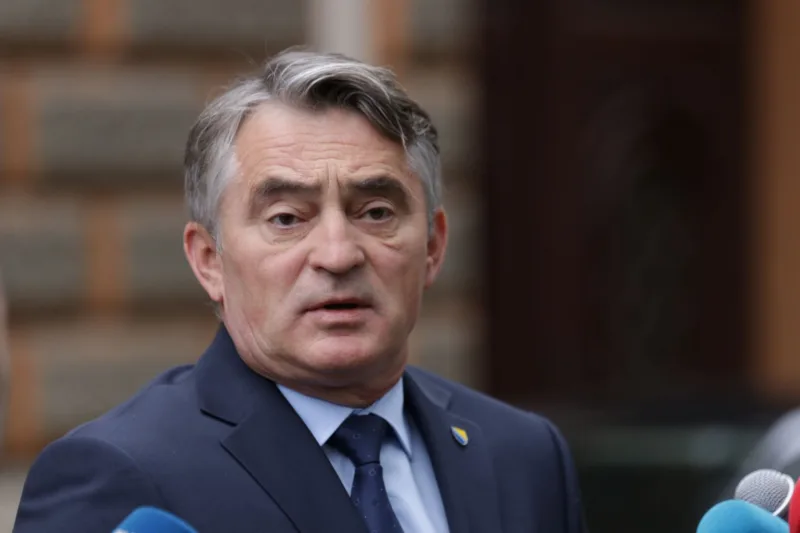 zeljko komsic fena1