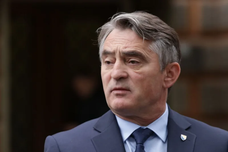 zeljko komsic fena