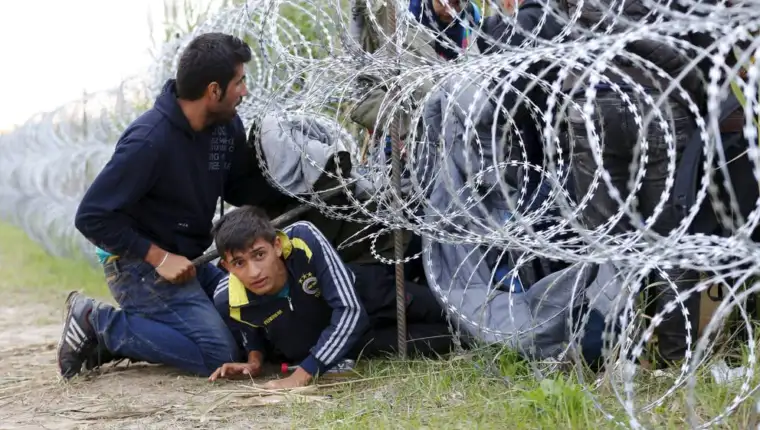 Zica migranti